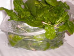 DSCN1708.JPG