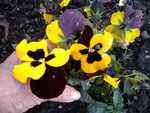DSCN1719.JPG