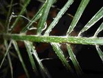 DSC01789.JPG