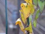 mpma-Img_3399_gd.jpg