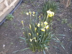 DSCN1715.JPG