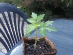 Photo0011.jpg