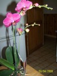 100_3381.jpg