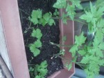 Photo0009.jpg