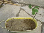 DSC06407.JPG
