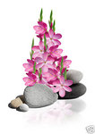 !Bb)FbowB2k~$(KGrHqEH-C0EquGIi95ZBK)jWVpy(w~~_12.jpg