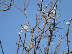 DSCN1734.JPG