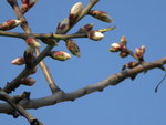 DSCN1735.JPG