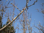 DSCN1736.JPG