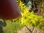 DSCN1737.JPG