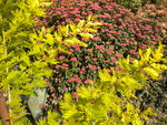 DSCN1738.JPG