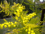 DSCN1748.JPG