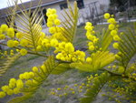 DSCN1749.JPG