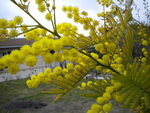 DSCN1750.JPG