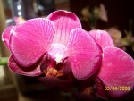 100_3386.jpg