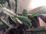 2011-02-14 18.22.46.jpg