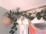 2011-02-14 18.20.21.jpg