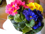 DSCN1724.JPG