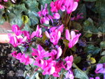 DSCN1723.JPG