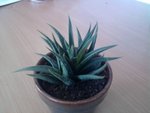 Photo0008.jpg
