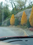 DSC00188.JPG