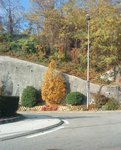 DSC00189-2.JPG