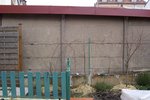 100_0613b.jpg