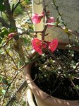 DSCN4213.JPG