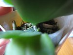 IMG_4554.JPG