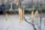 IMG_4087.jpg