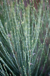 IMG_4085.jpg