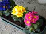 DSCN1732.JPG