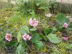 clip_image002.jpg