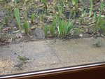 DSC00833_rs.jpg