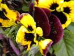 DSCN0594.JPG