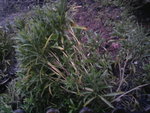 Photo0148.jpg