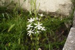 DSCF5118 (Medium).JPG