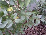 27022011059.jpg