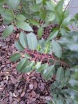 27022011063.jpg