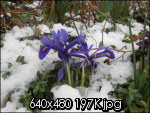 dscn2046q_th.jpg