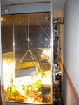 DSCN1013.JPG
