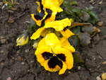 DSCN0466.JPG