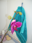 fleur 4.png