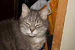 DSC00042 - petit.jpg