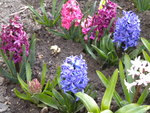 DSCN0467.JPG