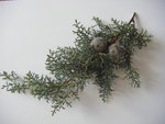 DSCF45992.jpg