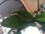 IMG_0917.jpg