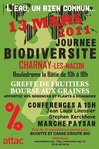 affiche2011.JPG
