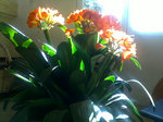 01032011015.jpg