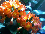 28022011012.jpg